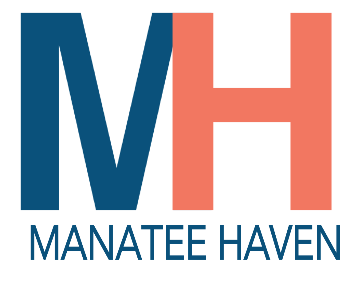 Instant Logo